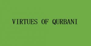 qurbani v