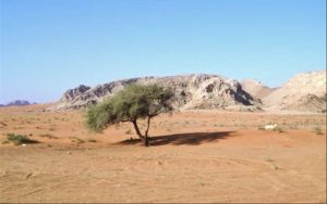 Barren Valley