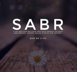 sabr