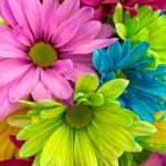 For Muslim Women – Their Special Rewards