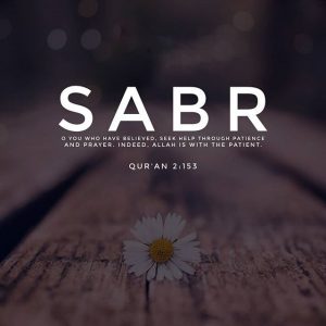 sabr1