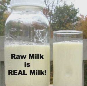 Raw_Milk