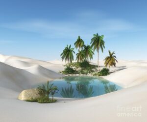 oasis-in-the-desert-