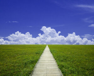 Wooden walkway through grassland