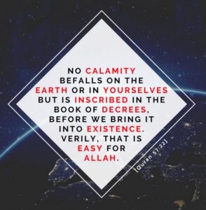 No Calamity