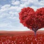 The 4 Types of Hearts – Which One Is Yours?