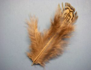 Feather