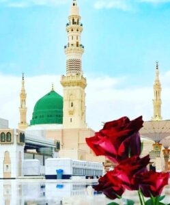 madina 1