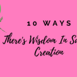 10 Ways There’s Wisdom In Satan’s Creation