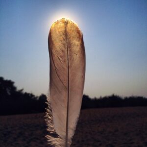 Feather