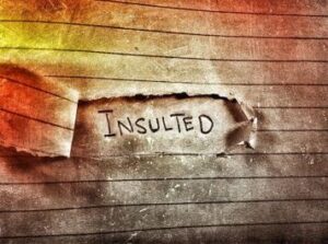 insult offend