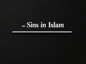 Sinsinislam