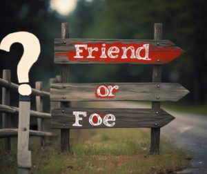 friend or fore